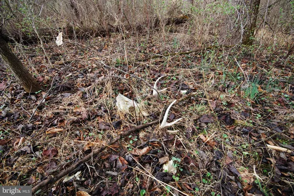 $1,300,000 | Dominion Road, Gerrardstown, WV 25420