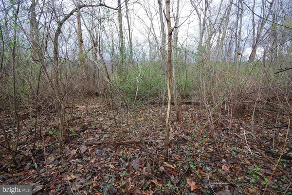 $1,300,000 | Dominion Road, Gerrardstown, WV 25420