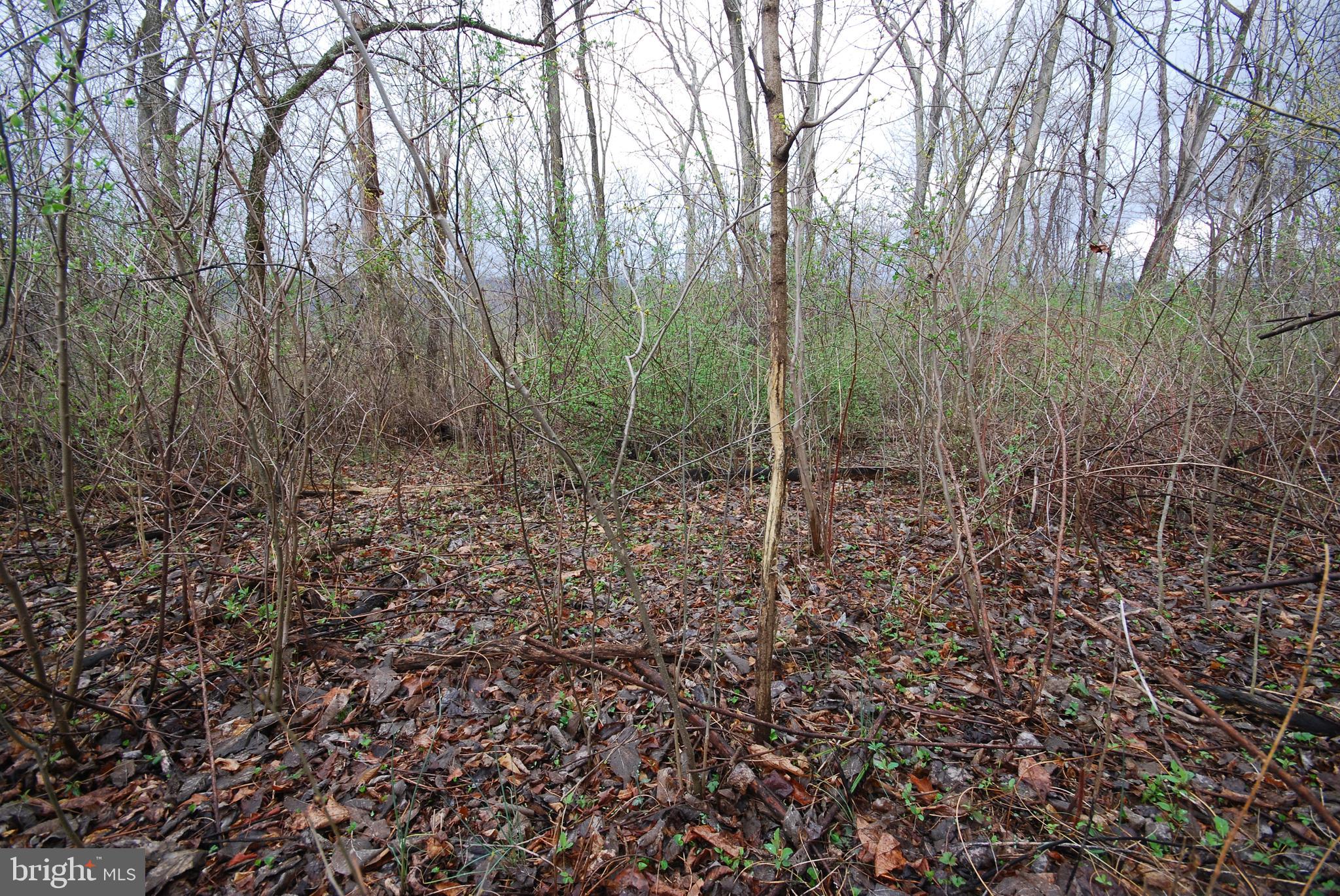 Dominion Road Gerrardstown, WV 25420 - Photo 51 of 61