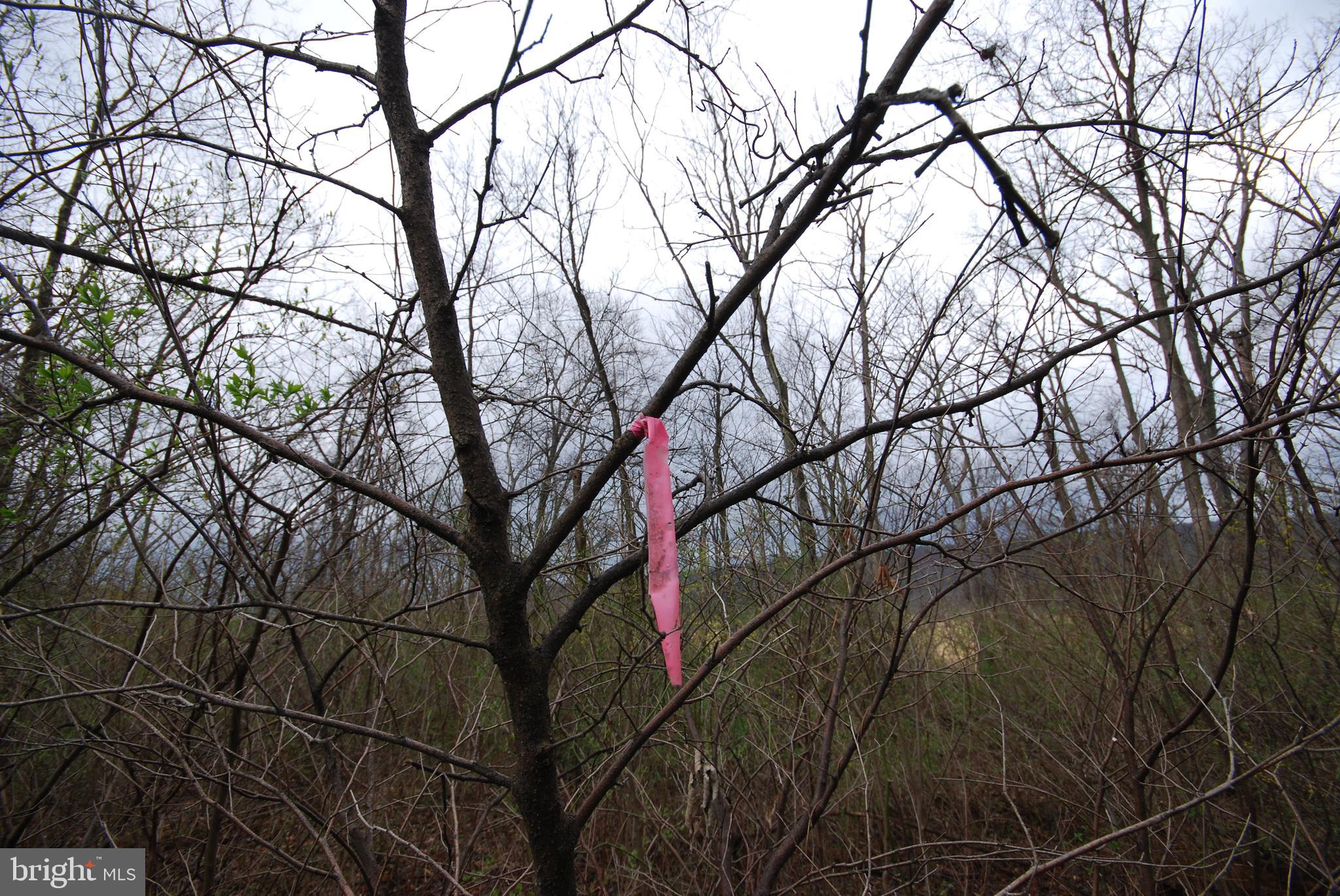 Dominion Road Gerrardstown, WV 25420 - Photo 52 of 61