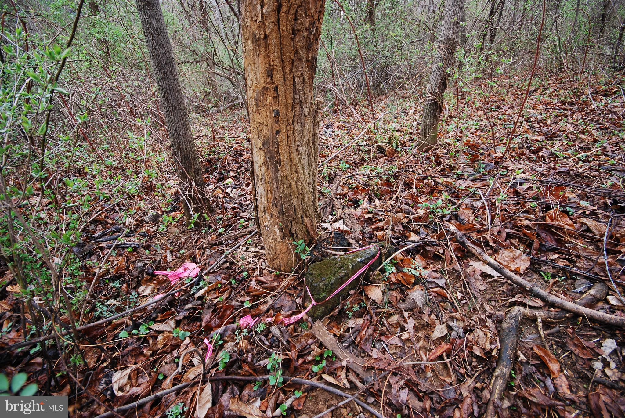 Dominion Road Gerrardstown, WV 25420 - Photo 53 of 61