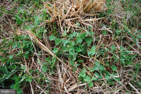 $1,300,000 | Dominion Road, Gerrardstown, WV 25420