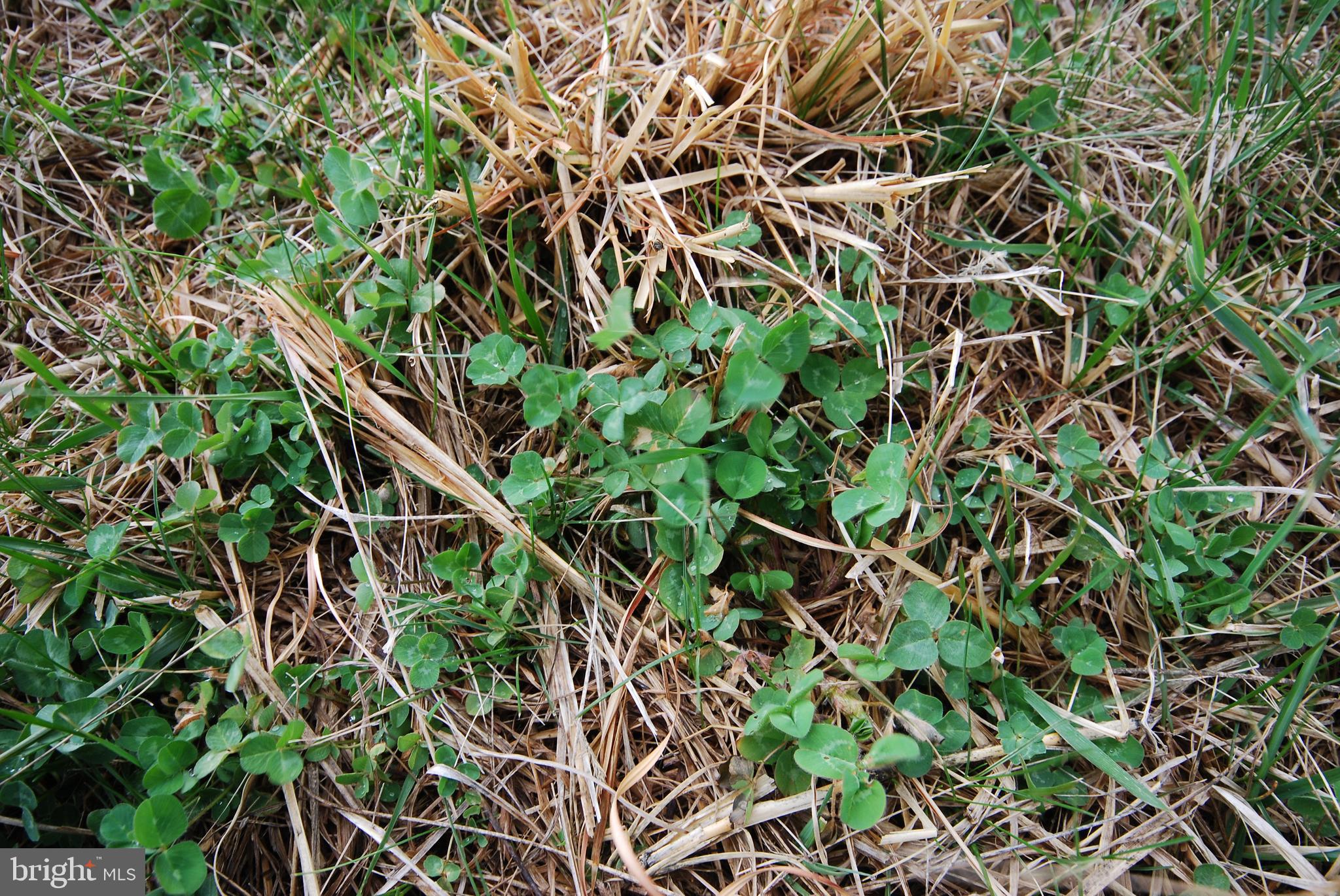 Dominion Road Gerrardstown, WV 25420 - Photo 54 of 61