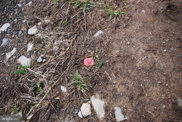 $1,300,000 | Dominion Road, Gerrardstown, WV 25420