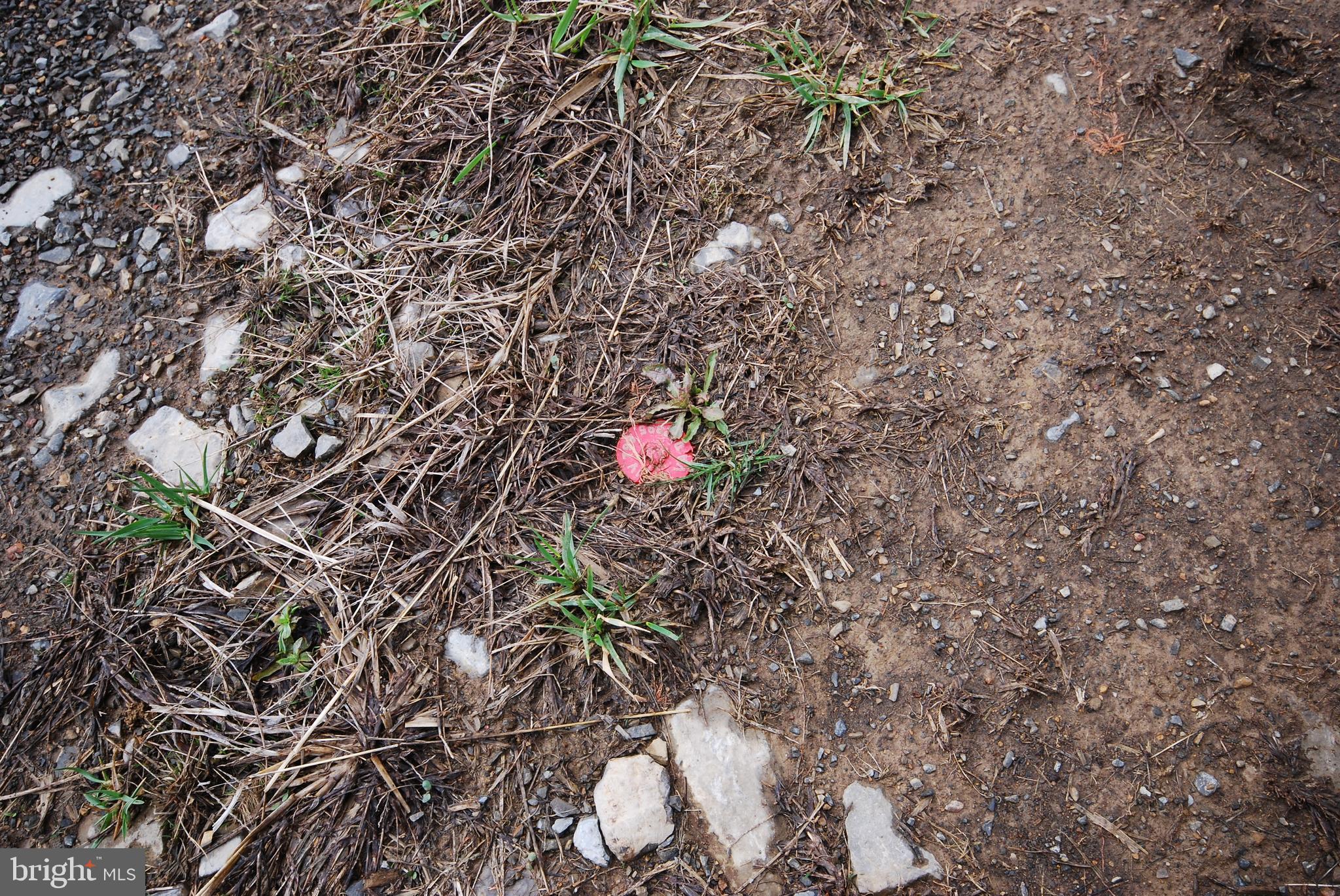 Dominion Road Gerrardstown, WV 25420 - Photo 55 of 61