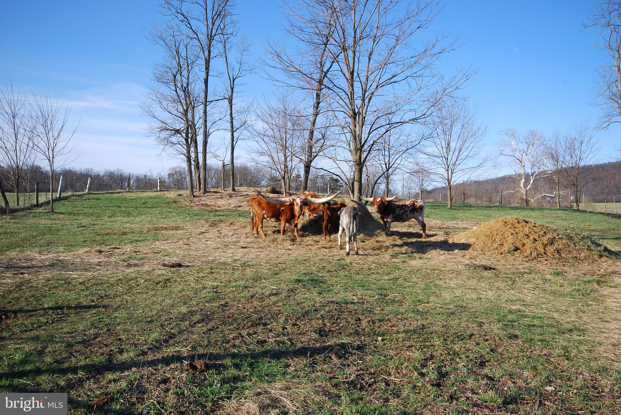 Dominion Road Gerrardstown, WV 25420 - Photo 56 of 61