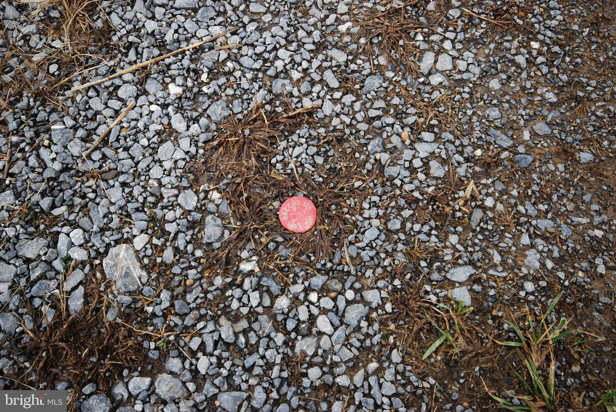 Dominion Road Gerrardstown, WV 25420 - Photo 57 of 61