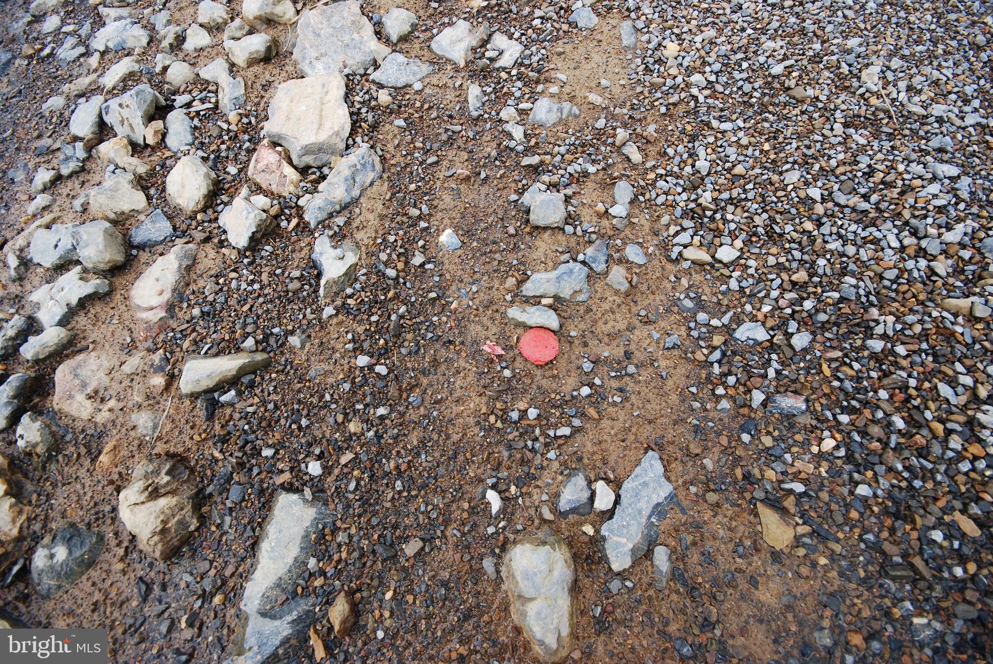 Dominion Road Gerrardstown, WV 25420 - Photo 58 of 61