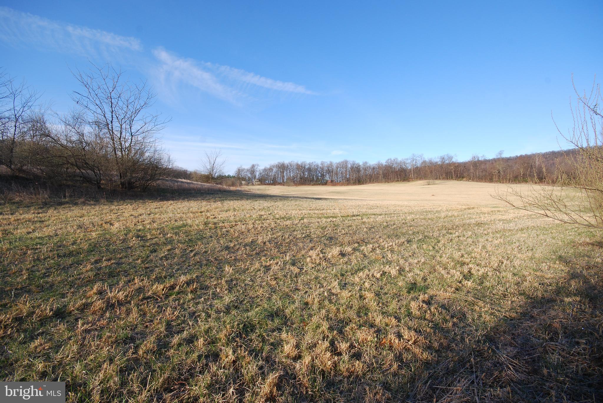 Dominion Road Gerrardstown, WV 25420 - Photo 9 of 61