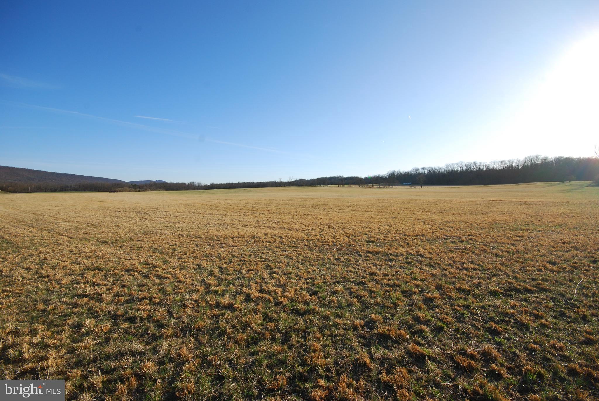 Dominion Road Gerrardstown, WV 25420 - Photo 10 of 61