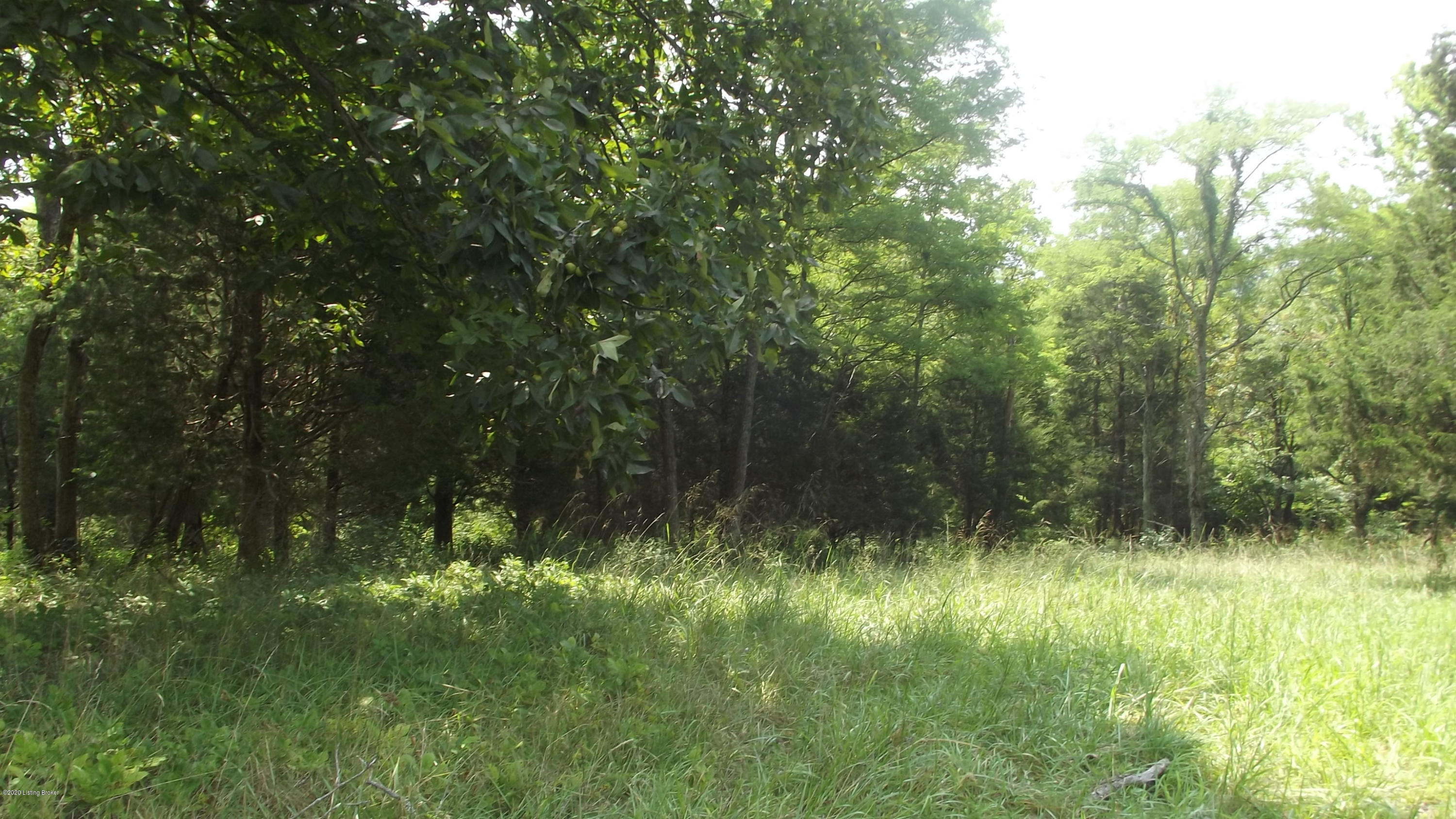 2126 Wright's Ridge Road Milton, KY 40045 - Photo 34 of 38 DSCF6796