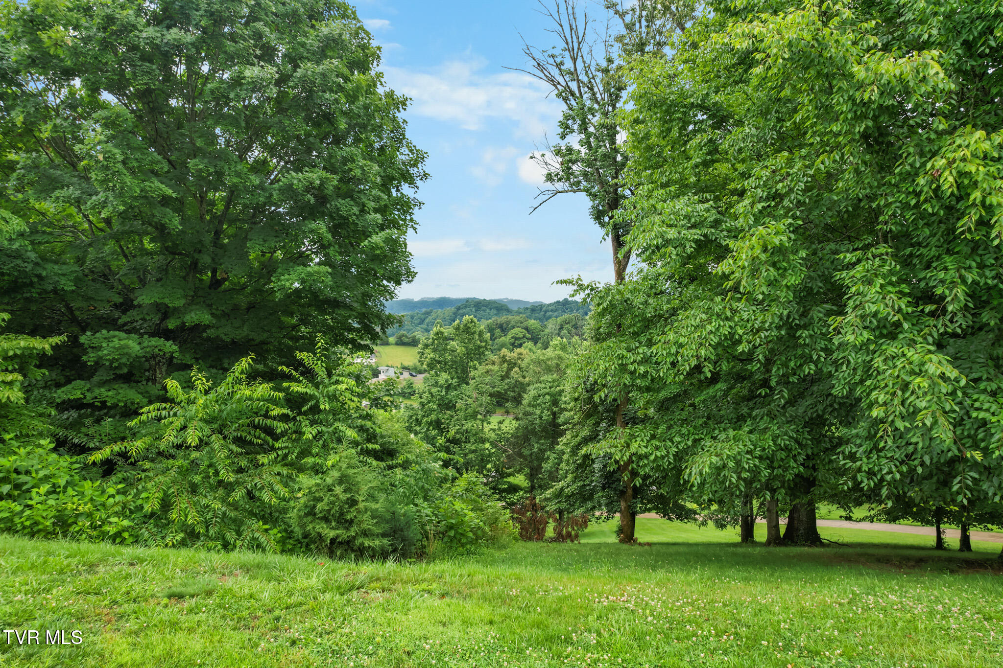 3315 Island Road, Unit 1 Blountville, TN 37617 - Photo 52 of 58 DJI_0160
