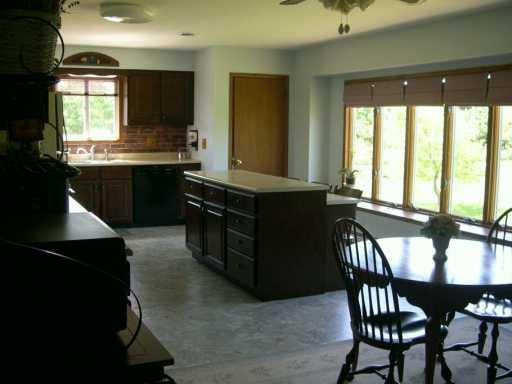 17675 West Pleasant Lake Road Manchester, MI 48158 - Photo 2 of 8 Photo 2