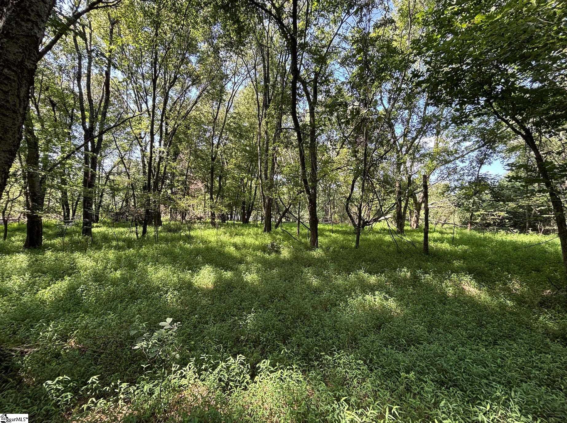 0 Wingo Road Wellford, SC 29385 - Photo 11 of 18