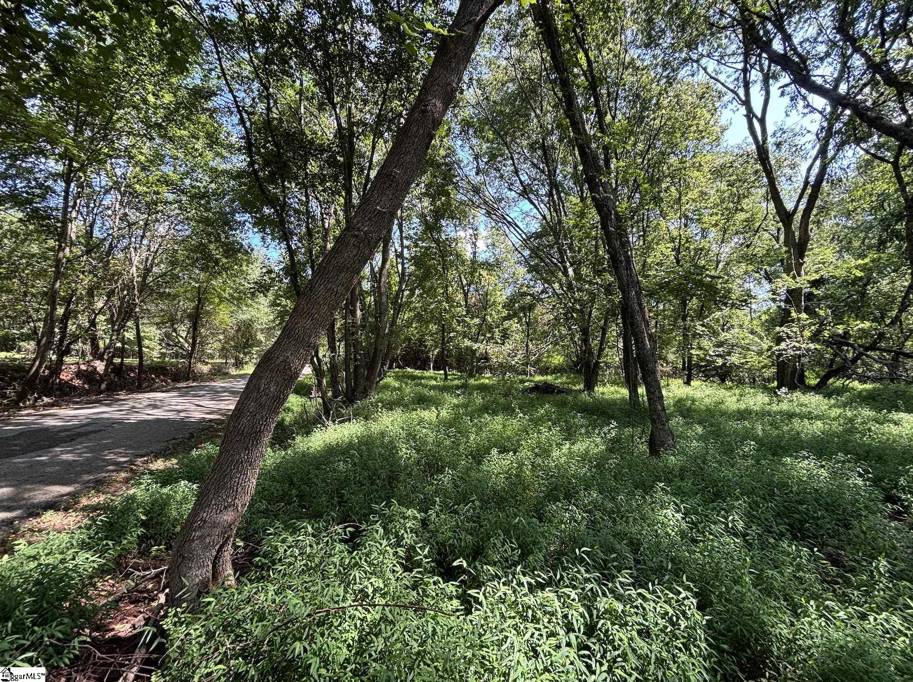 0 Wingo Road Wellford, SC 29385 - Photo 12 of 18