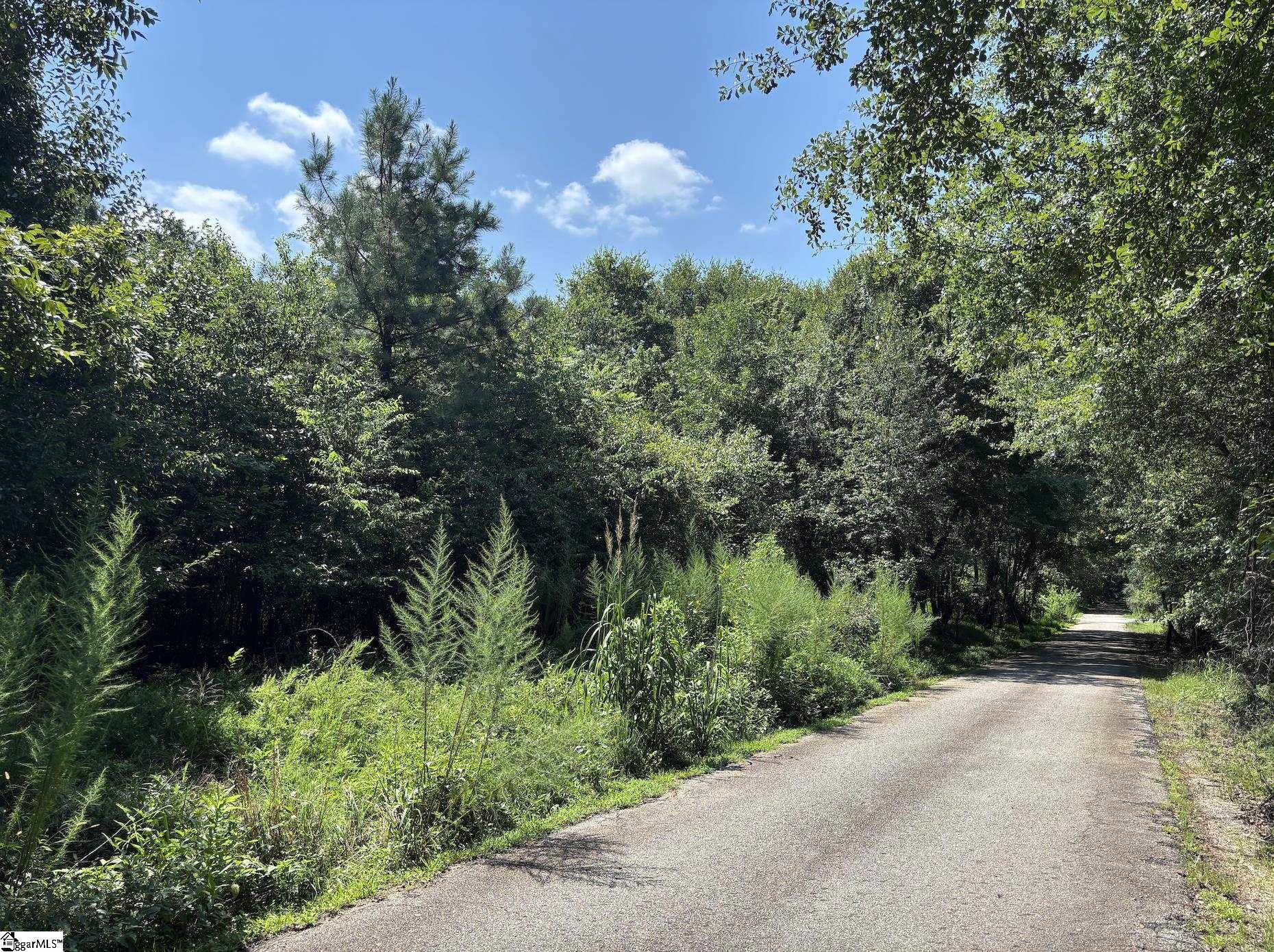 0 Wingo Road Wellford, SC 29385 - Photo 15 of 18