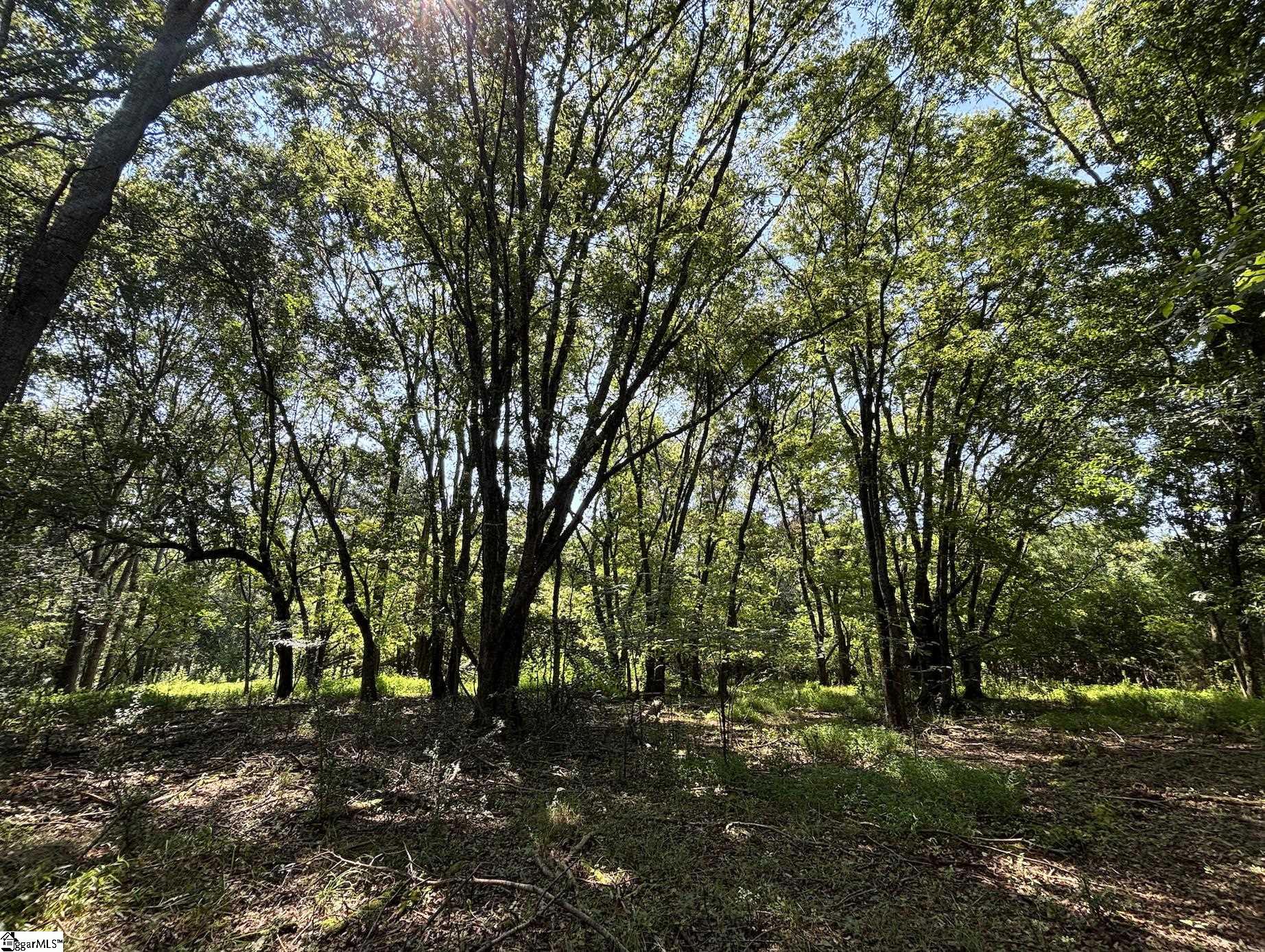 0 Wingo Road Wellford, SC 29385 - Photo 2 of 18