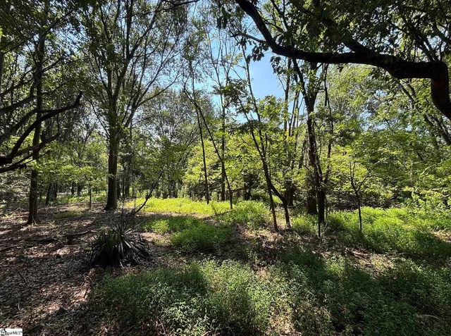 $443,700 | 0 Wingo Road, Wellford, SC 29385