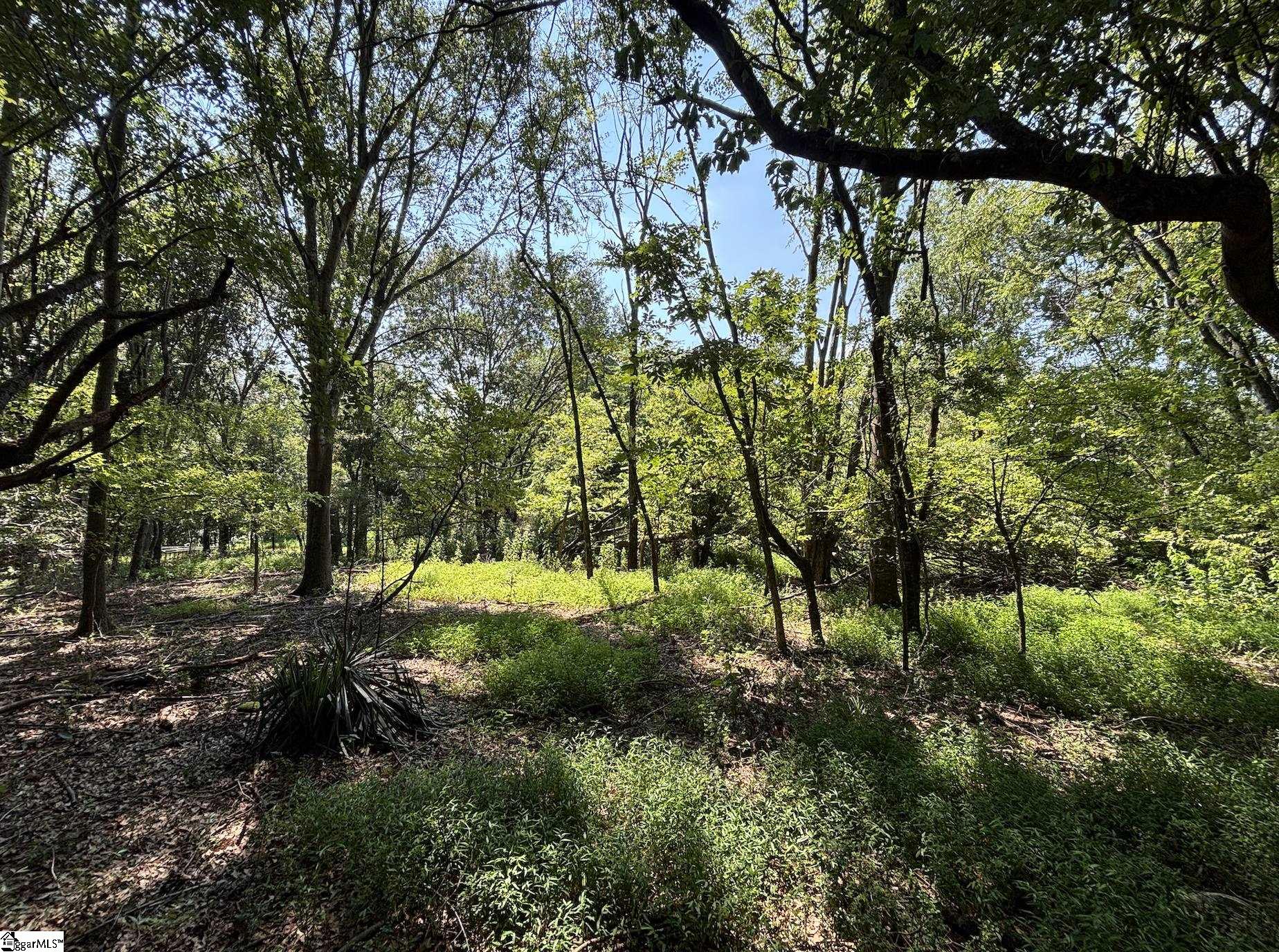 0 Wingo Road Wellford, SC 29385 - Photo 3 of 18