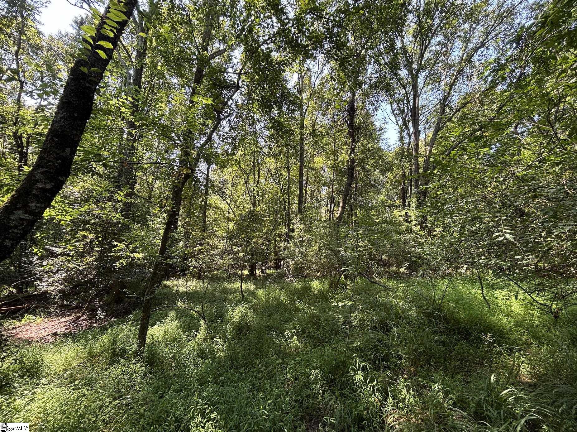 0 Wingo Road Wellford, SC 29385 - Photo 5 of 18