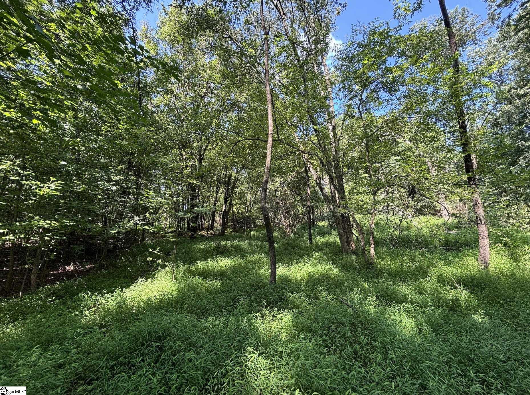 0 Wingo Road Wellford, SC 29385 - Photo 6 of 18