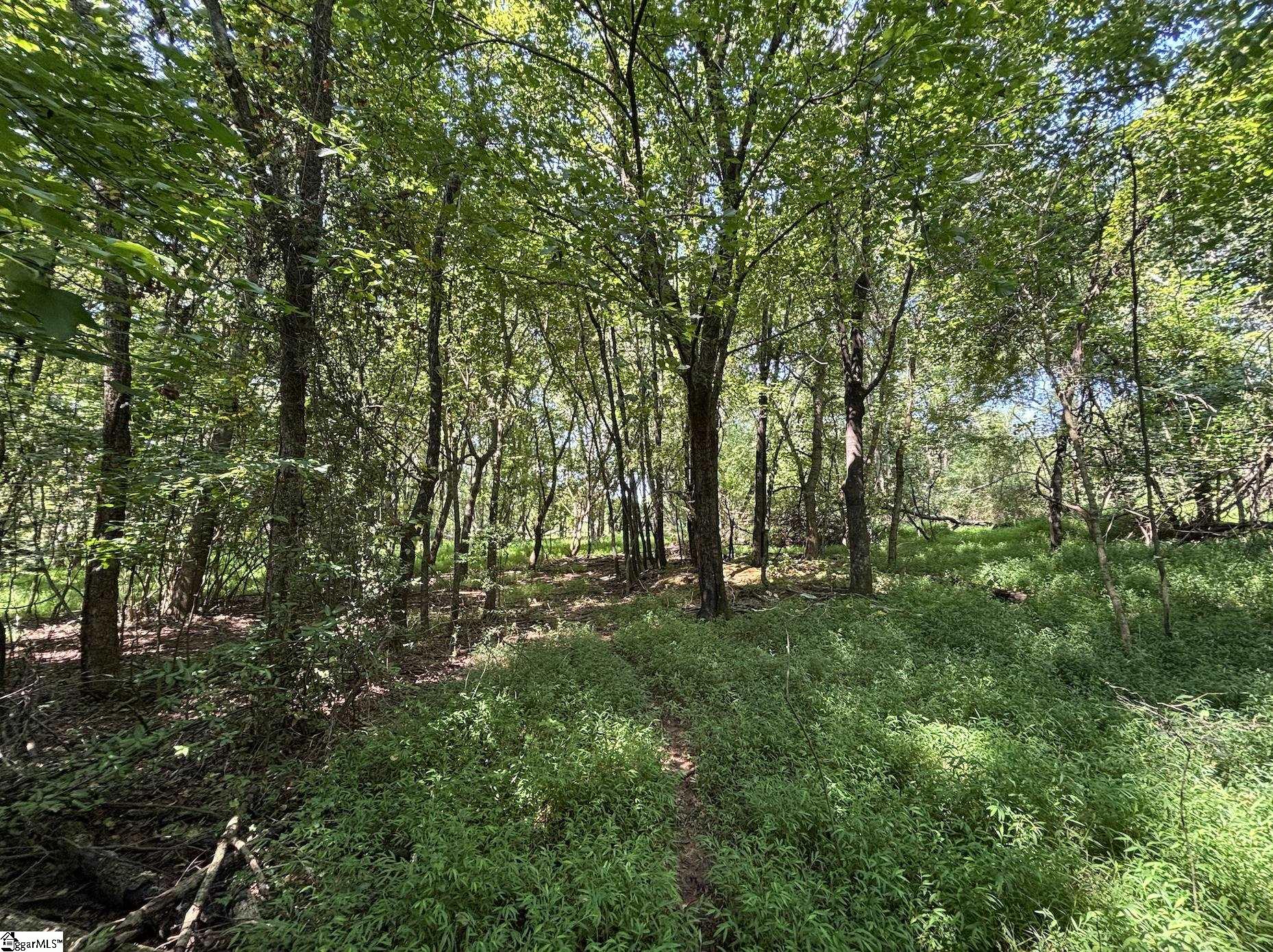 0 Wingo Road Wellford, SC 29385 - Photo 7 of 18