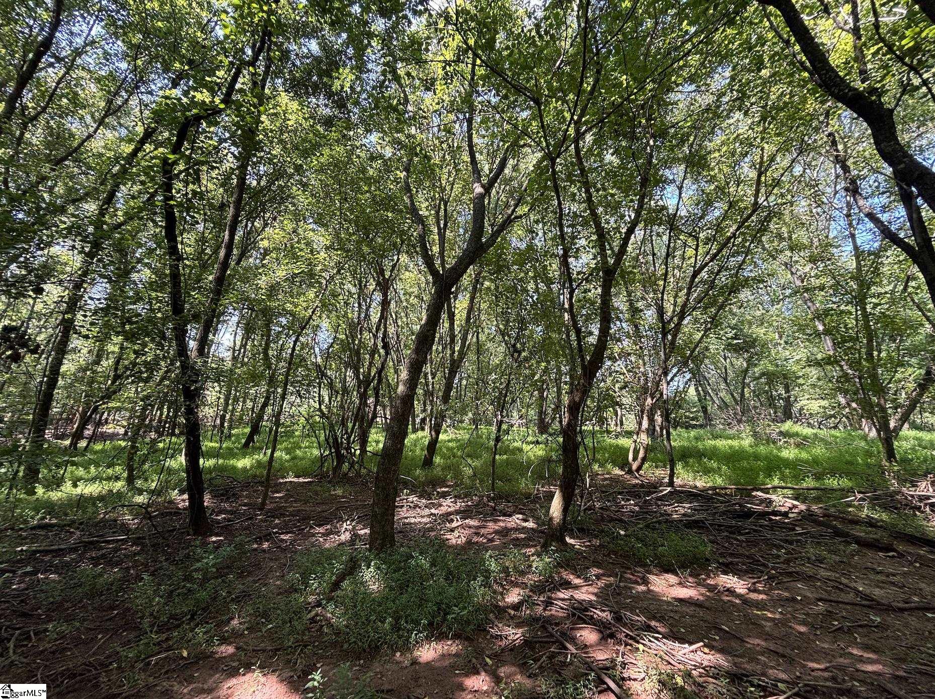 0 Wingo Road Wellford, SC 29385 - Photo 8 of 18