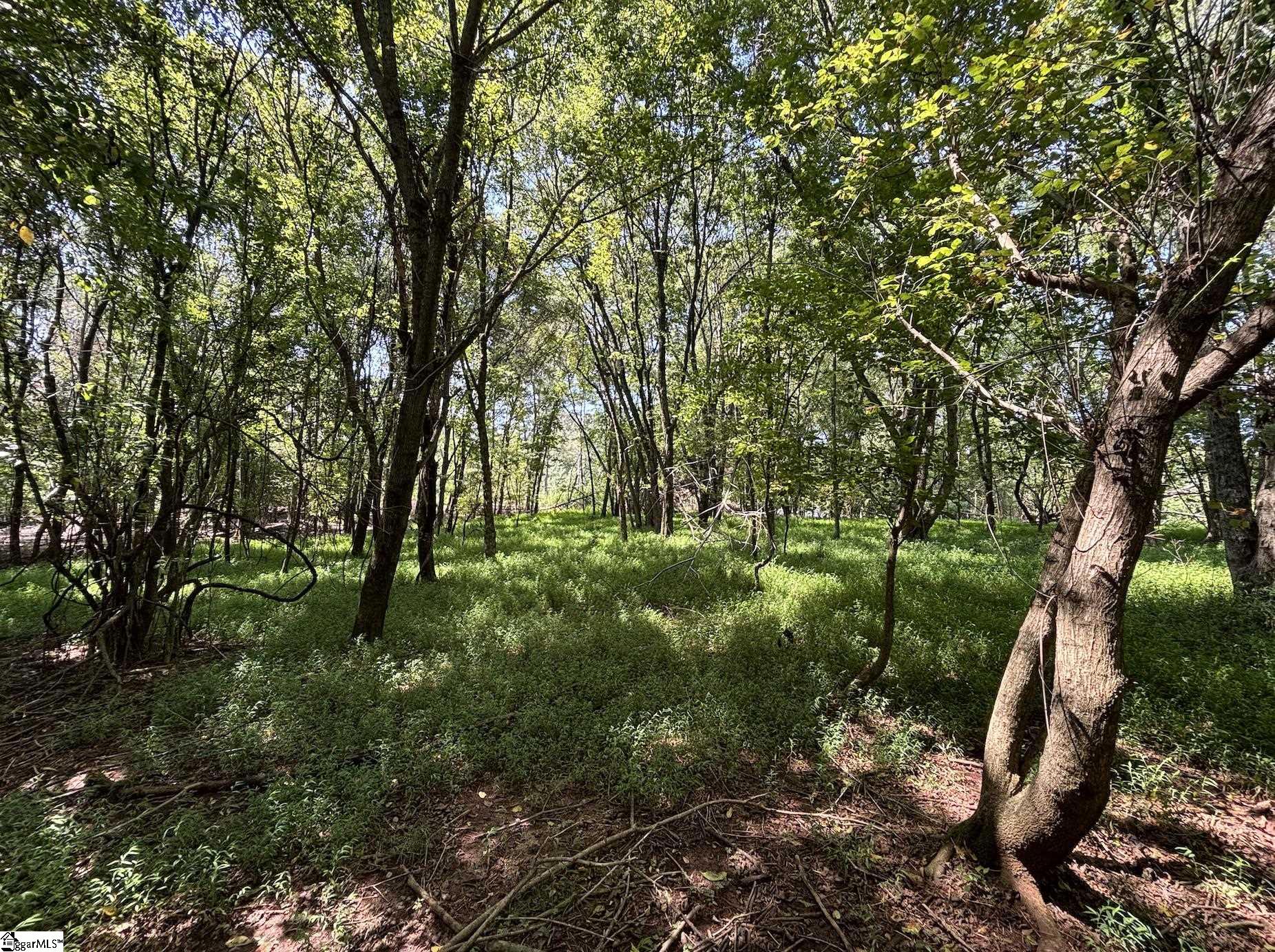 0 Wingo Road Wellford, SC 29385 - Photo 9 of 18