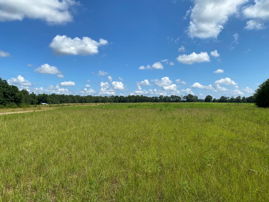 16-ac 16-ac National Road Dothan, AL 36301 - Photo 23 of 45