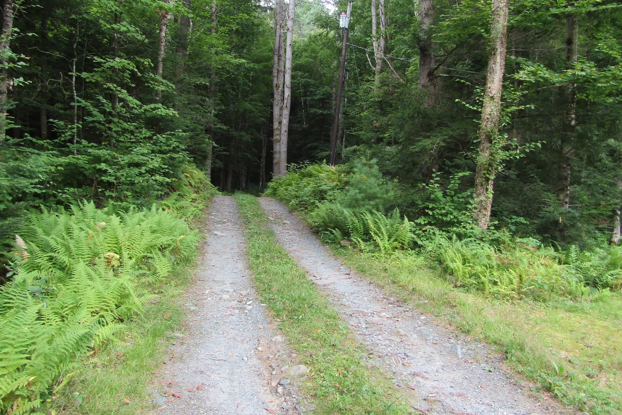 358 Wild Ammonoosuc Road Bath, NH 03740 - Photo 8 of 18 Gallery Image 8