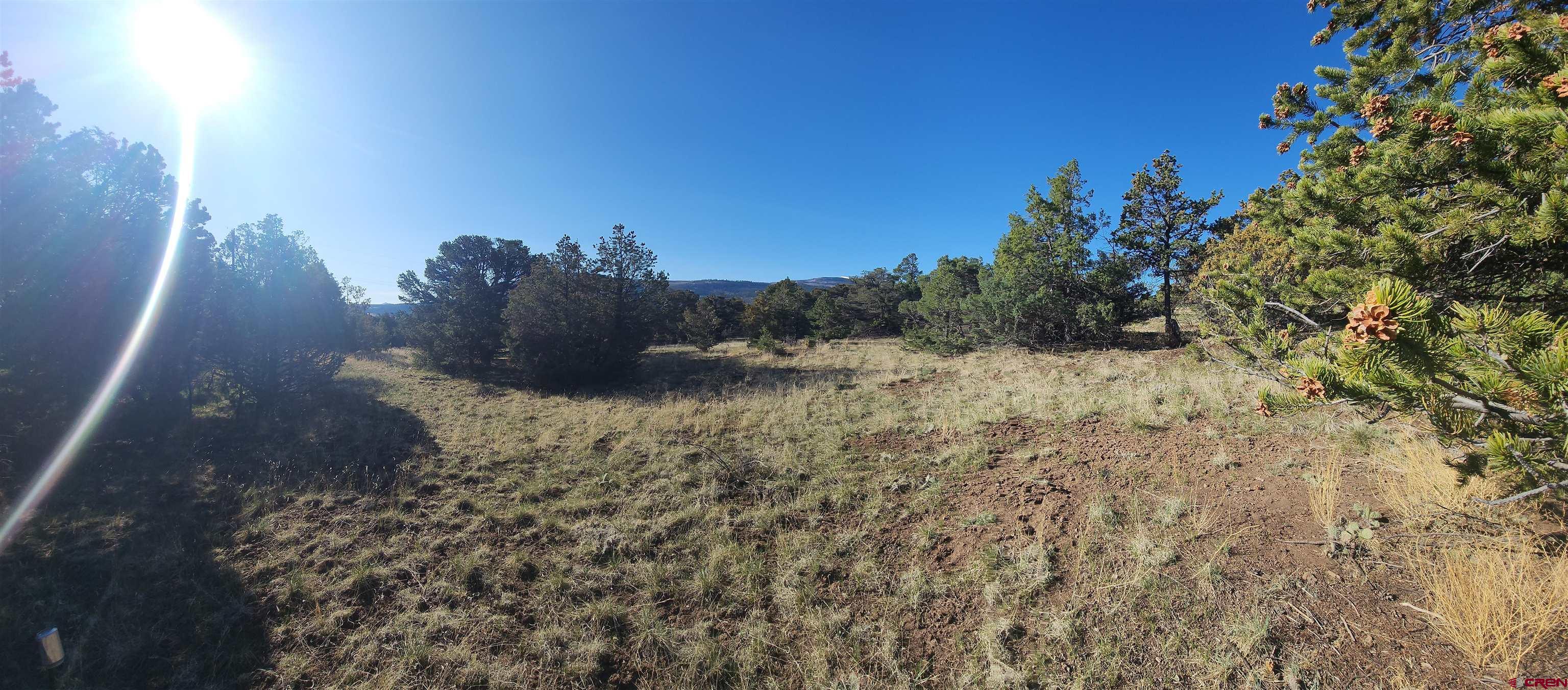 503 Kenosha Road South Fork, CO 81154 - Photo 2 of 8 a view of a yard with a tree