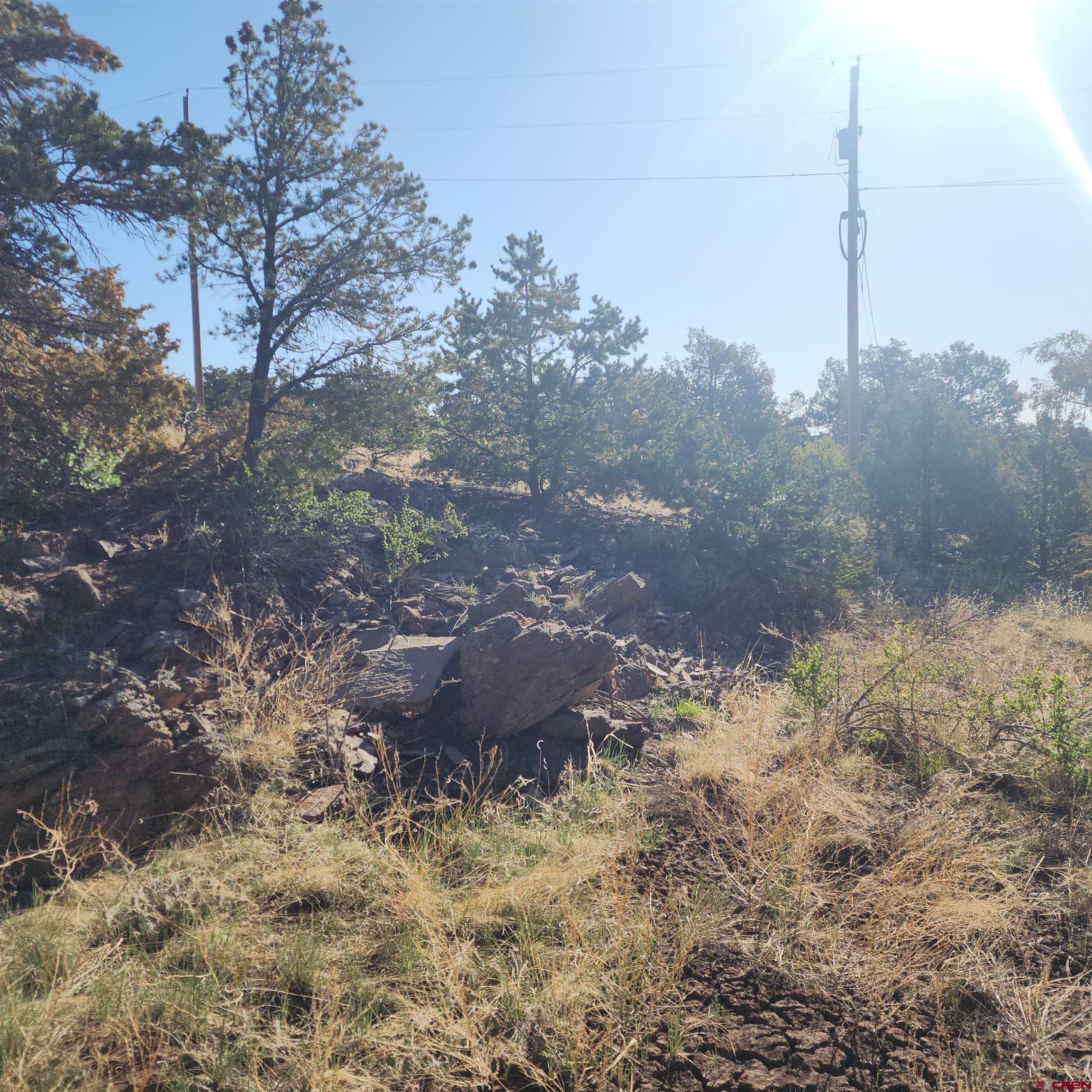 503 Kenosha Road South Fork, CO 81154 - Photo 7 of 8 a view of a dry yard