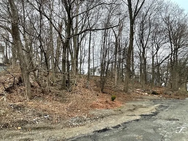 a view of outdoor space with trees