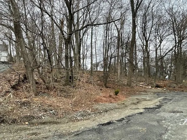 a view of outdoor space with trees