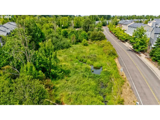 a open area with a yard