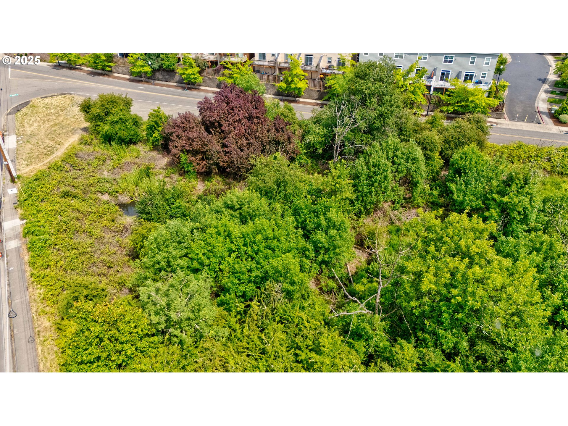 Southwest Scholls Ferry Road Beaverton, OR 97007 - Photo 13 of 18 a open area with lake view