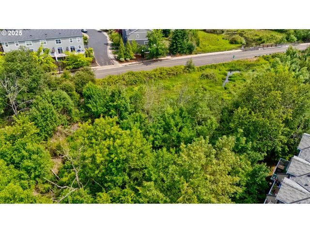 a view of a field with plants and trees