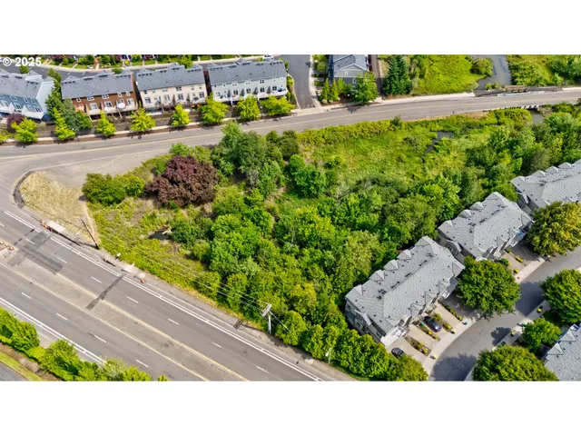 a black and white photo of a park