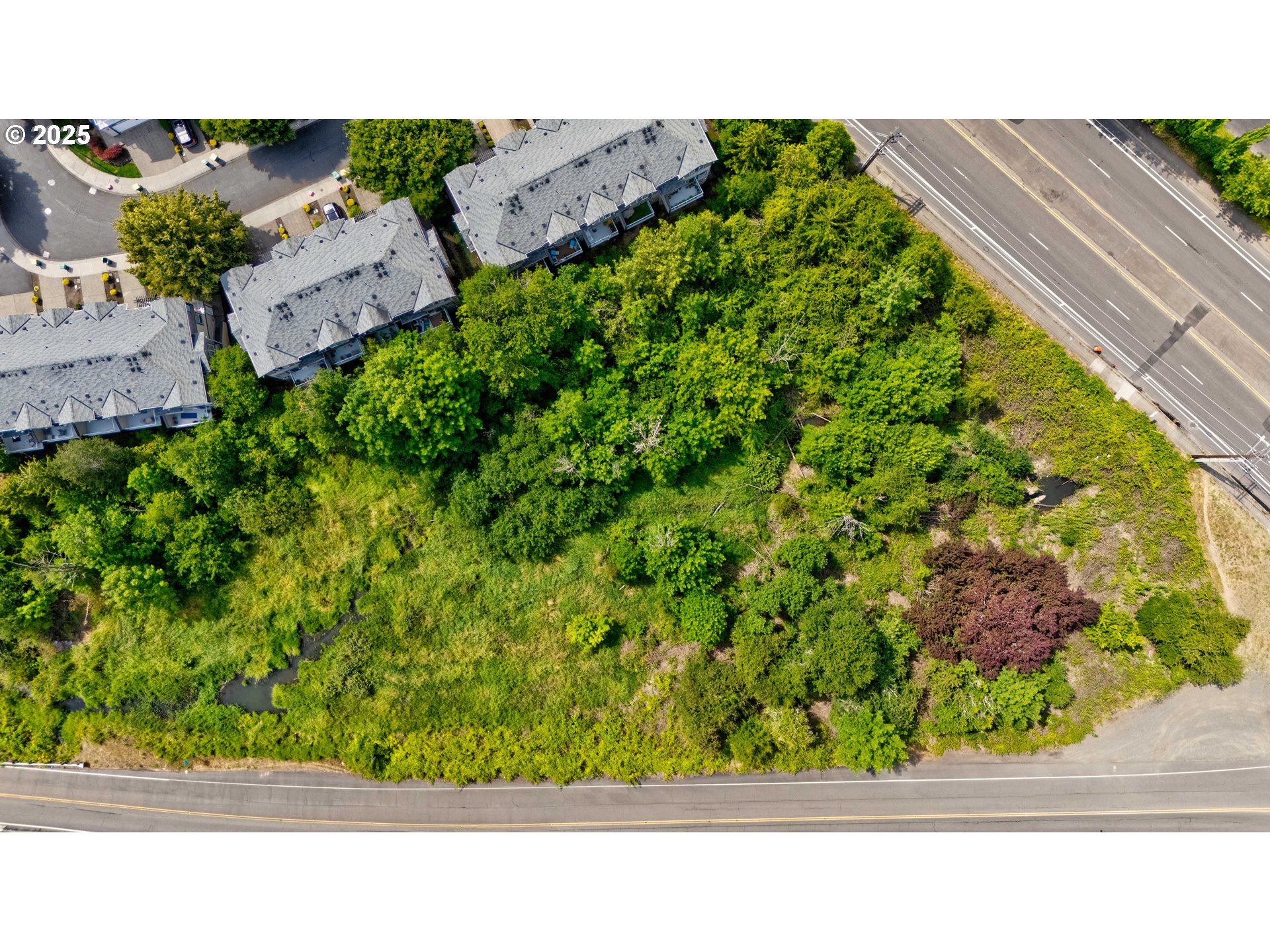 Southwest Scholls Ferry Road Beaverton, OR 97007 - Photo 9 of 18