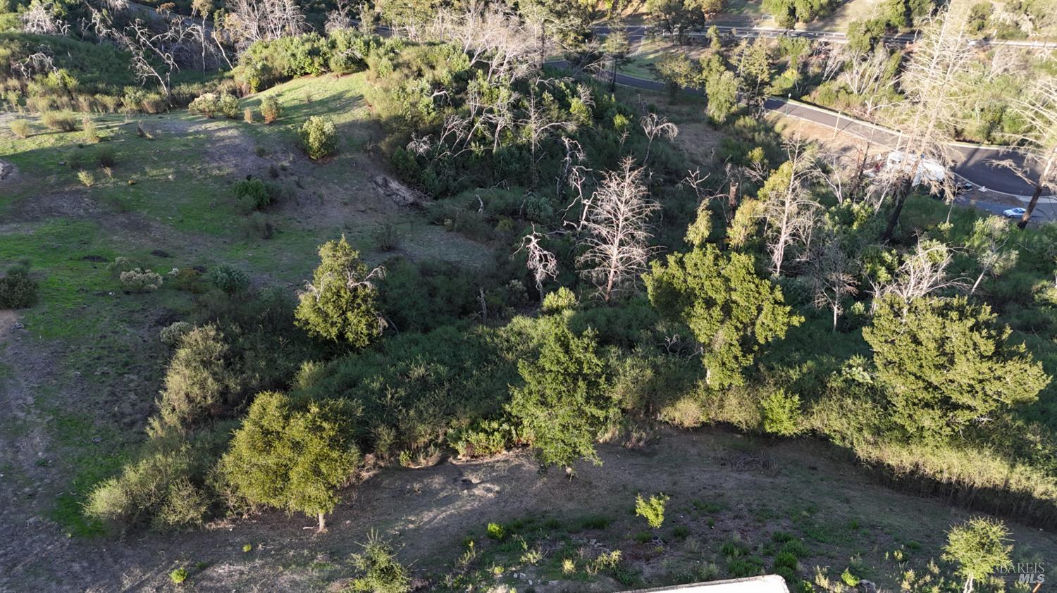 3912 Petalglen Place Santa Rosa, CA 95403 - Photo 13 of 14 a view of a garden with a tree