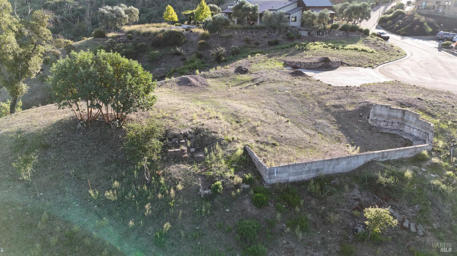 3912 Petalglen Place Santa Rosa, CA 95403 - Photo 6 of 14 a view of a yard with a tree