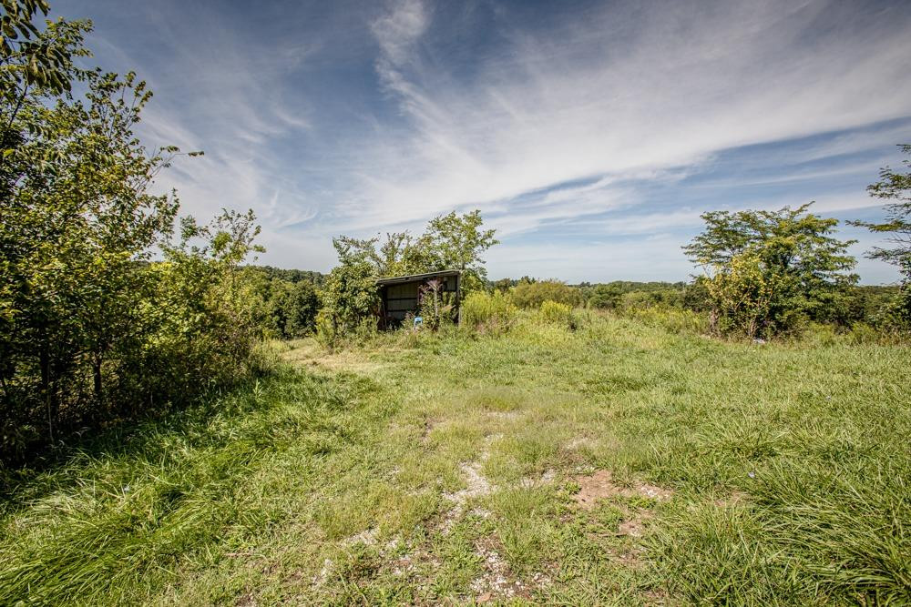 6535 Owenton Road Stamping Ground, KY 40379 - Photo 11 of 40 Photo 11