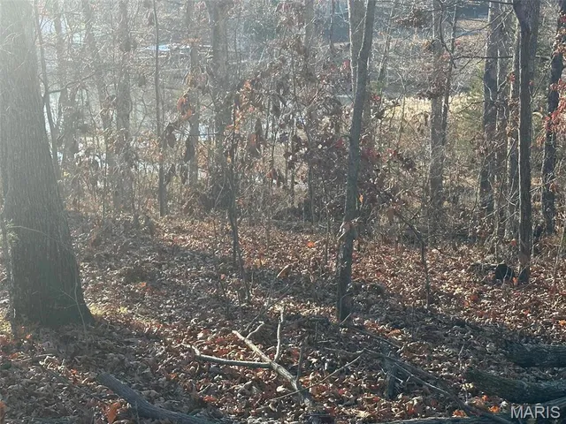 $45,000 | 17 Wagon Creek Loop, Creal Springs, IL 62922