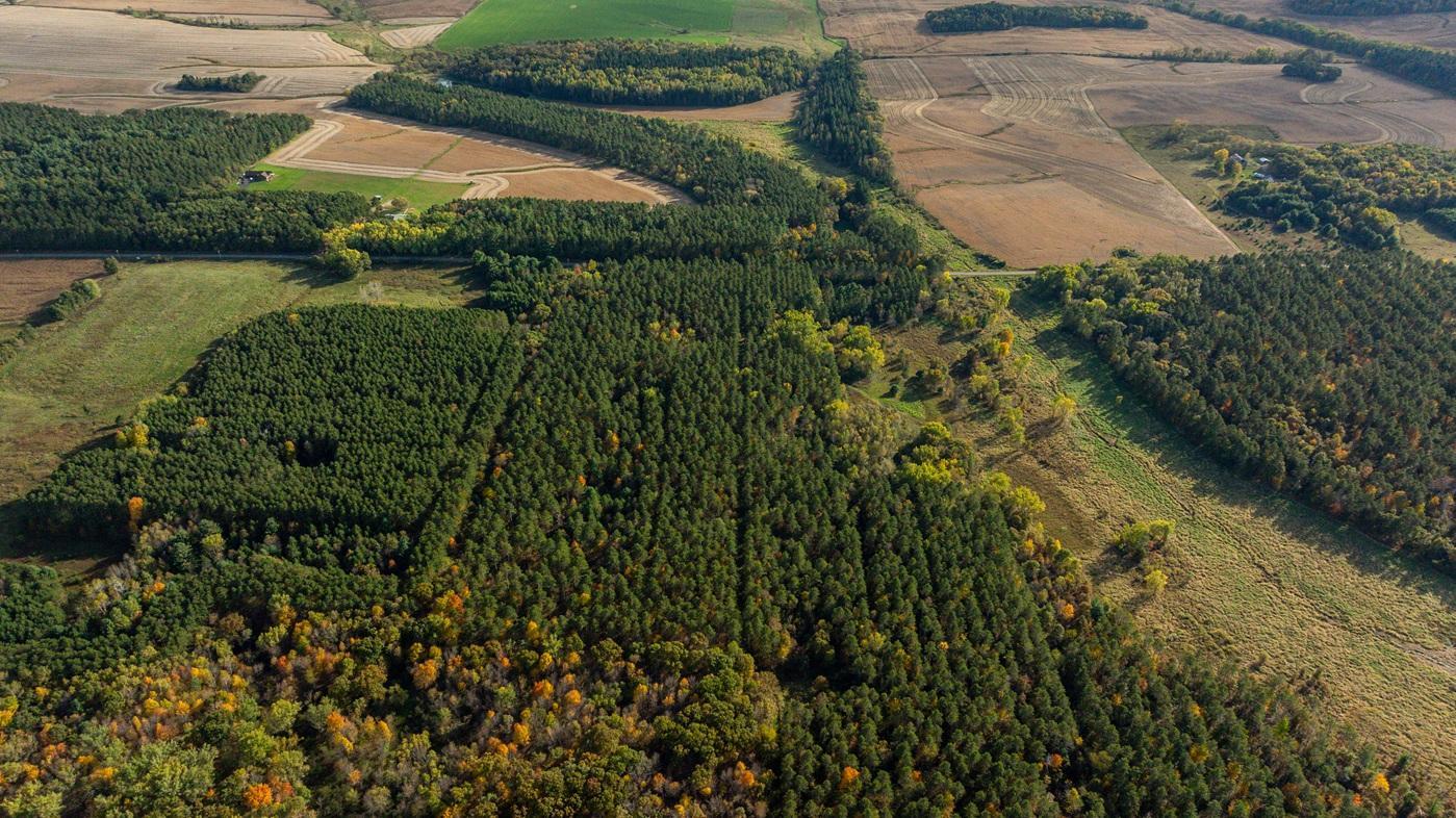 Tbd East Prairie Road East Osseo, WI 54758 - Photo 24 of 50 Gallery Image 24