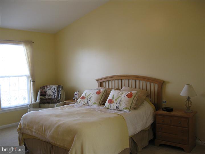 39 Cherry Tree Court Spring City, PA 19475 - Photo 13 of 25 Master Bedroom