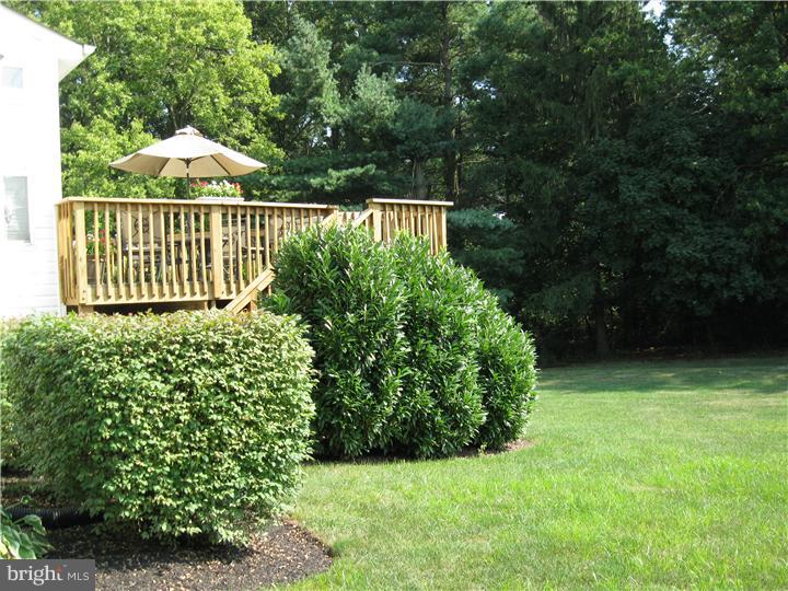 39 Cherry Tree Court Spring City, PA 19475 - Photo 3 of 25 Back Yard