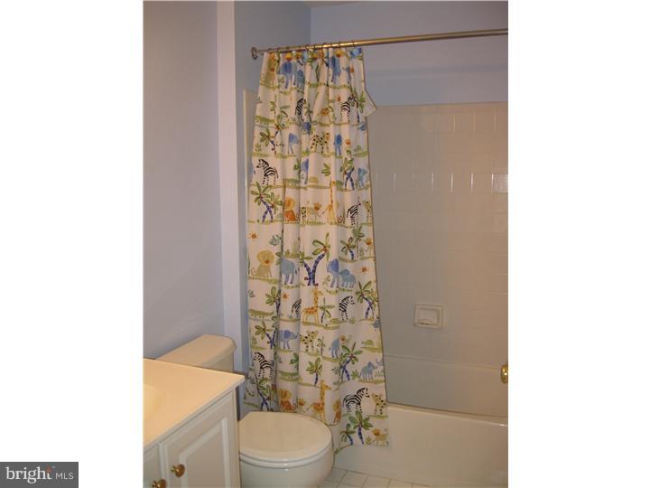 39 Cherry Tree Court Spring City, PA 19475 - Photo 21 of 25 Bathroom