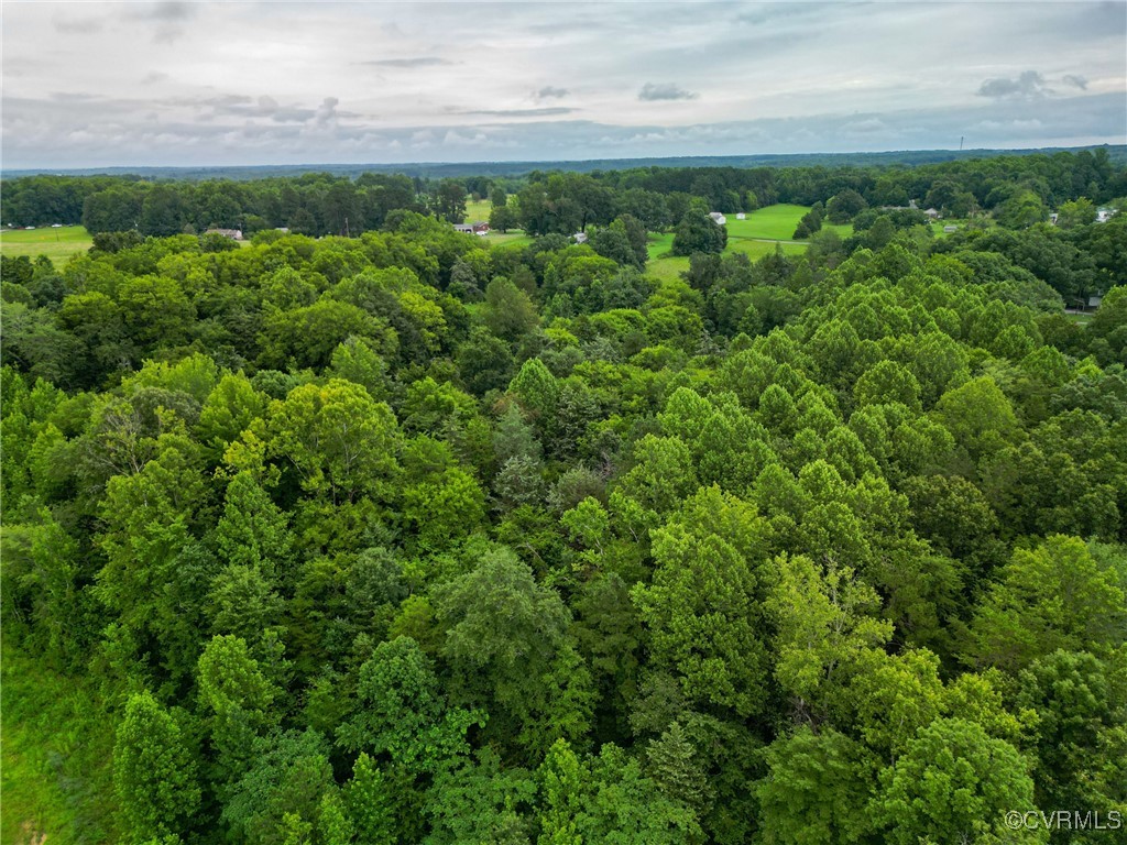 23935 Prince Edward Highway Rice, VA 23966 - Photo 20 of 27