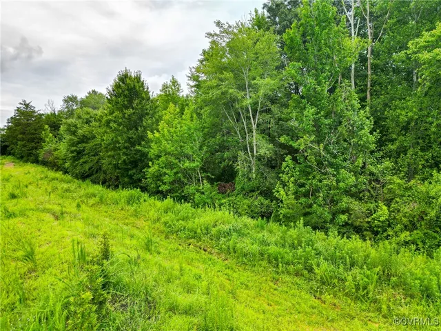 $650,000 | 23935 Prince Edward Highway, Rice, VA 23966