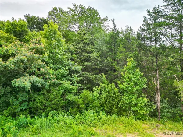 $650,000 | 23935 Prince Edward Highway, Rice, VA 23966